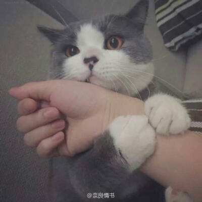 天命之门最新版下载