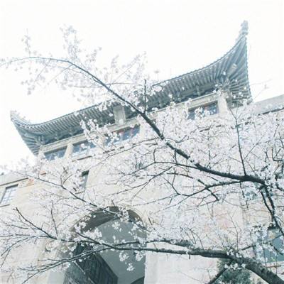 重力异想世界2手机版