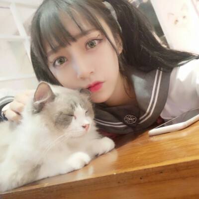 上位仙界手机版下载